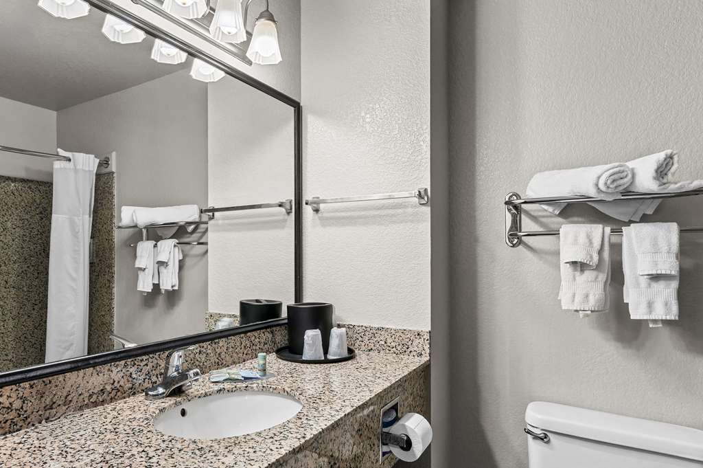 Best Western Sherwood Inn & Suites - photo 25