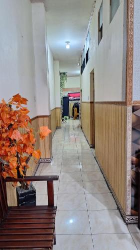 Viola — Bukittinggi — photo 5