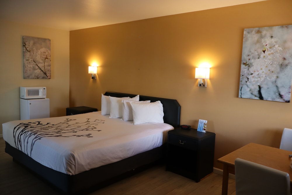 Black Canyon Motel - photo 22