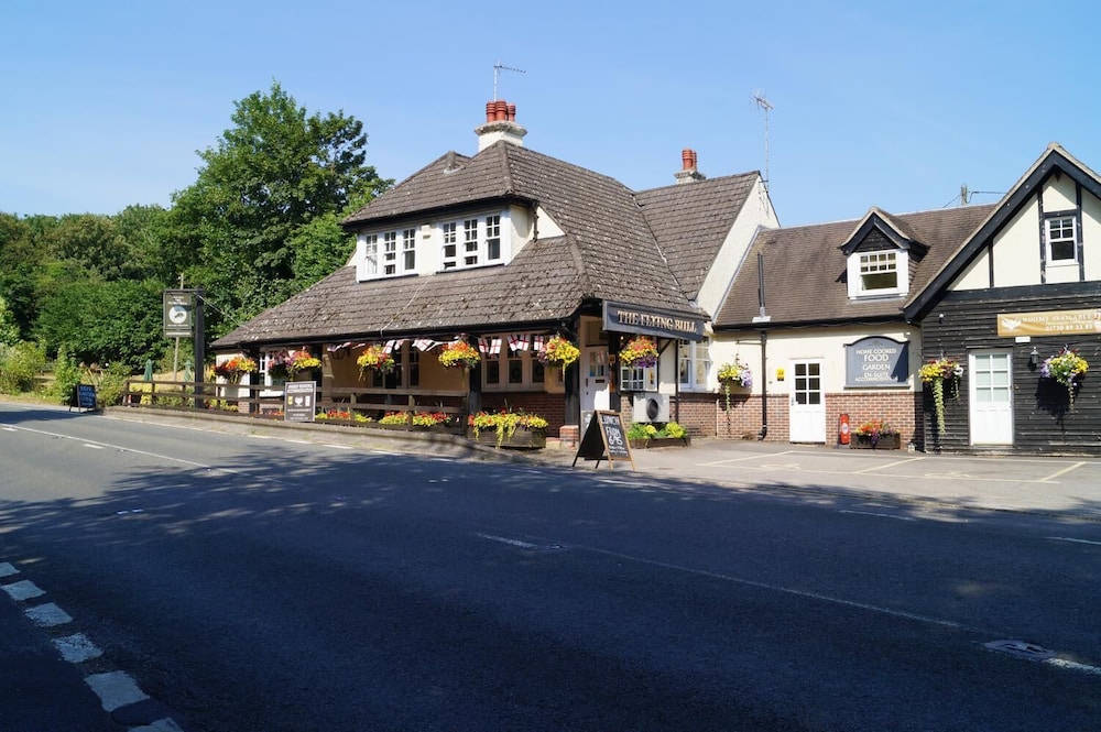 The Flying Bull Inn pet-friendly hotel Liss