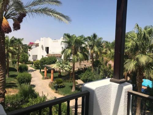 Delta Sharm number one in Sharm El-Sheikh, Egypt