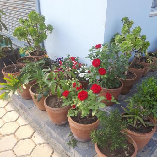 Nagarkot Hotel roadside in Nagarkot, Nepal