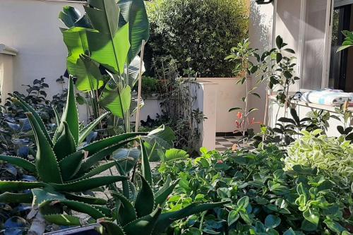 Casa del Sole — 4-Star Luxury Hotel in Taranto, Italy