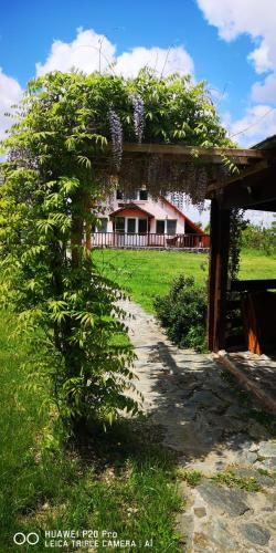 Family Mountain Cottage — 4-Star Luxury Hotel in Cartisoara, Romania