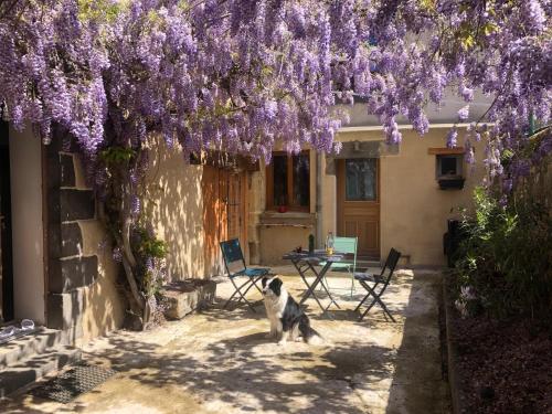 Le Neuf - carbon neutral hotel in Vertaizon