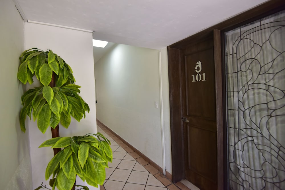 Bed Bed Estrella in Torreon, Mexico