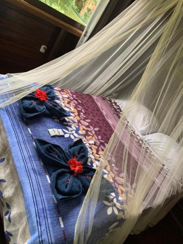 Cabinas Nirvana Ecolodge - carbon neutral hotel in Unknown City
