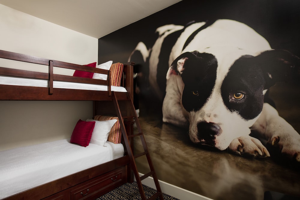 Kimpton Hotel Monaco Baltimore Inner Harbor an IHG Hotel - photo 5