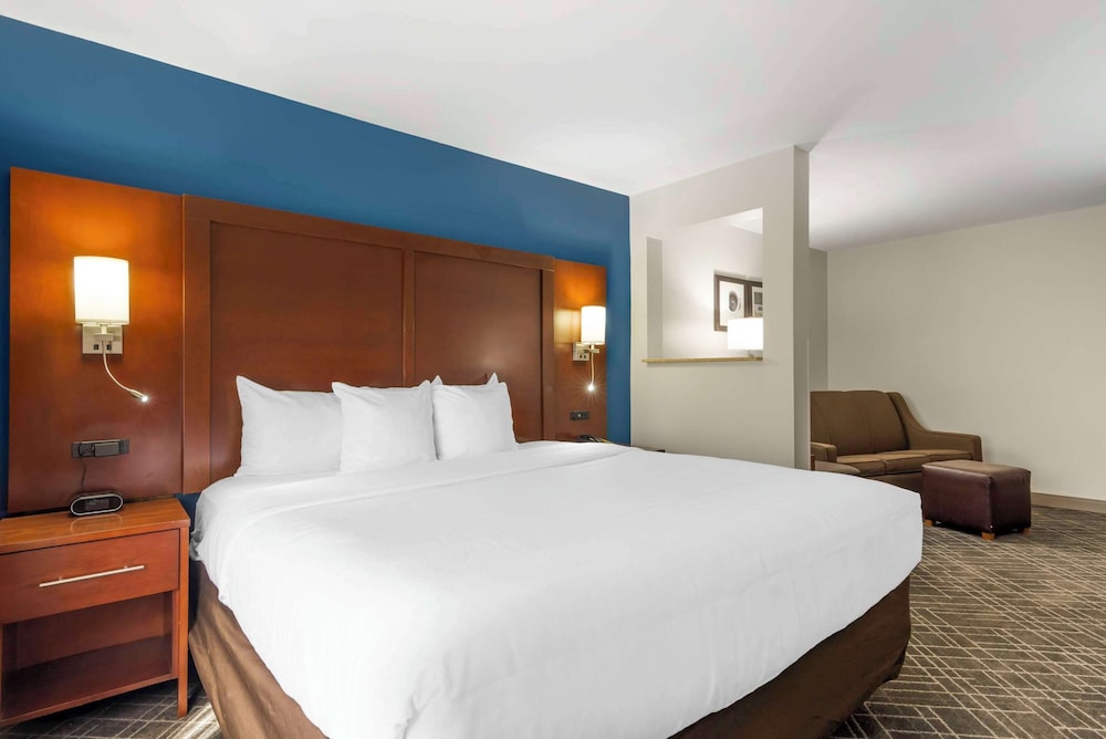 Comfort Suites Atlanta Airport - photo 20