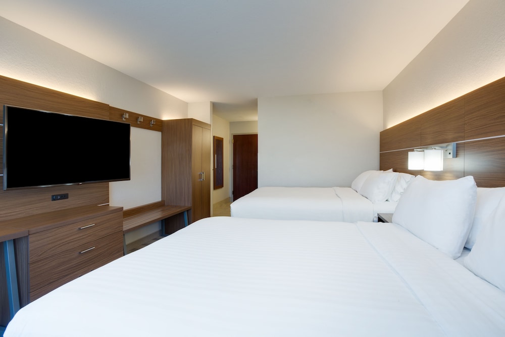 Holiday Inn Express Hotel & Suites Tampa Fairgrounds Casino by IHG - photo 9