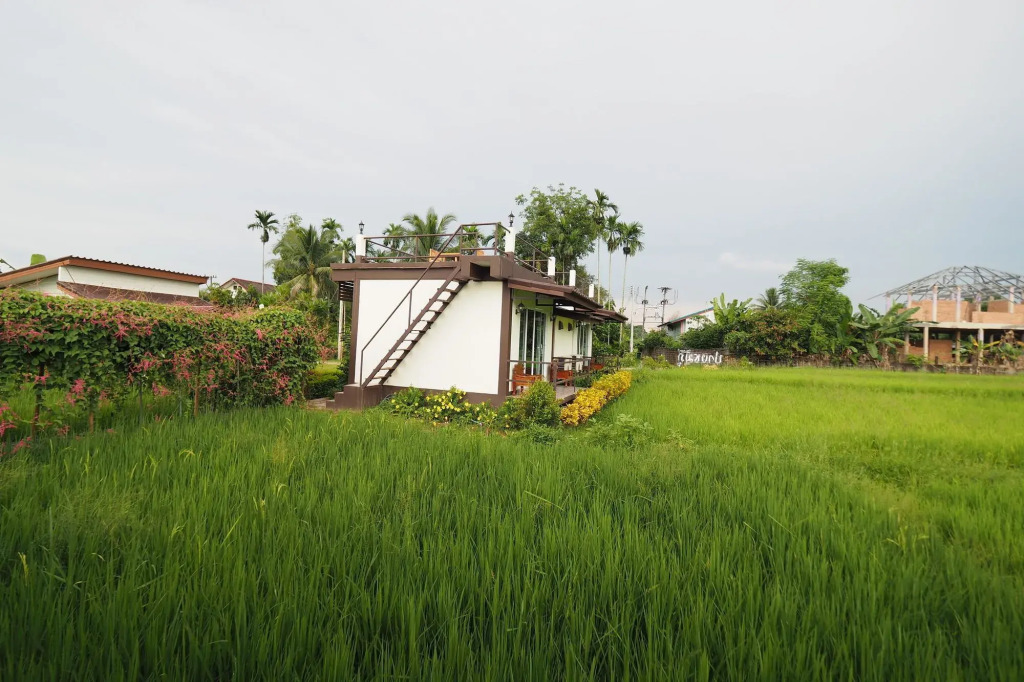 Pang Chompu — Pua — photo 3