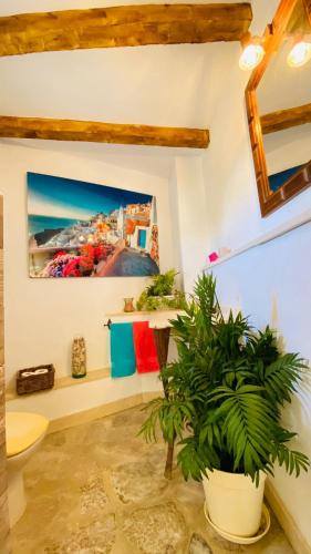 New Casa El Imperio — Gaucin — photo 2