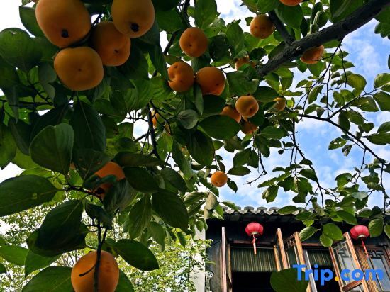 Shiyuan Inn - carbon neutral hotel in Shanghai
