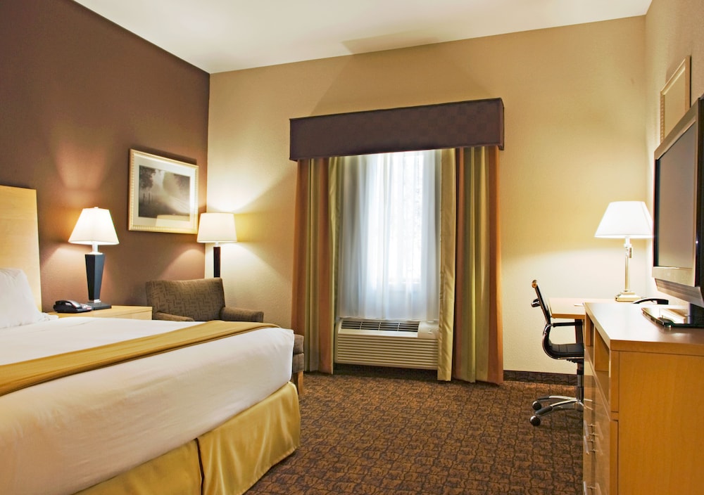 Holiday Inn Express & Suites Borger by IHG - photo 4
