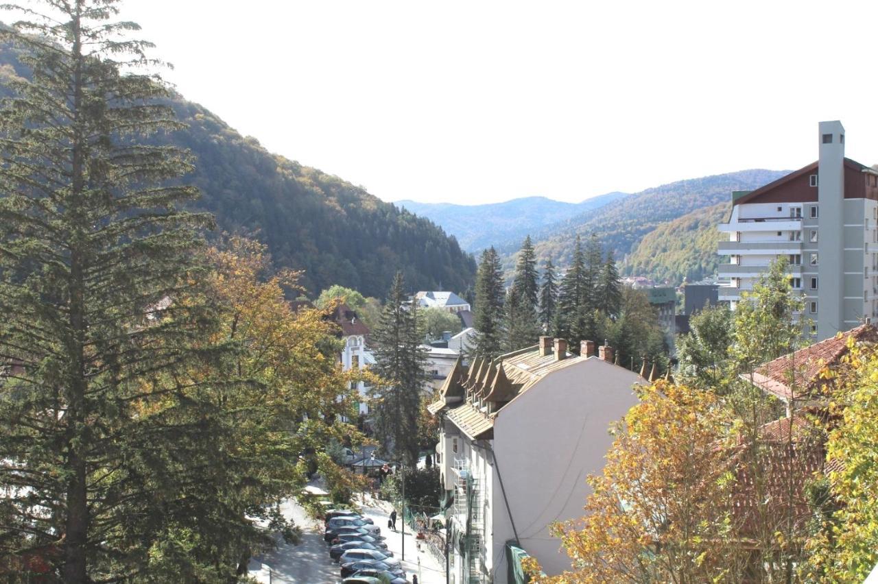 Central Park View Sinaia — 4-Star Luxury Hotel in Sinaia, Romania