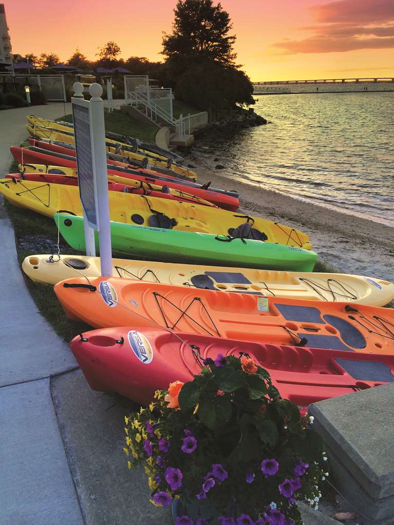 Hyatt Regency Chesapeake Bay - photo 12