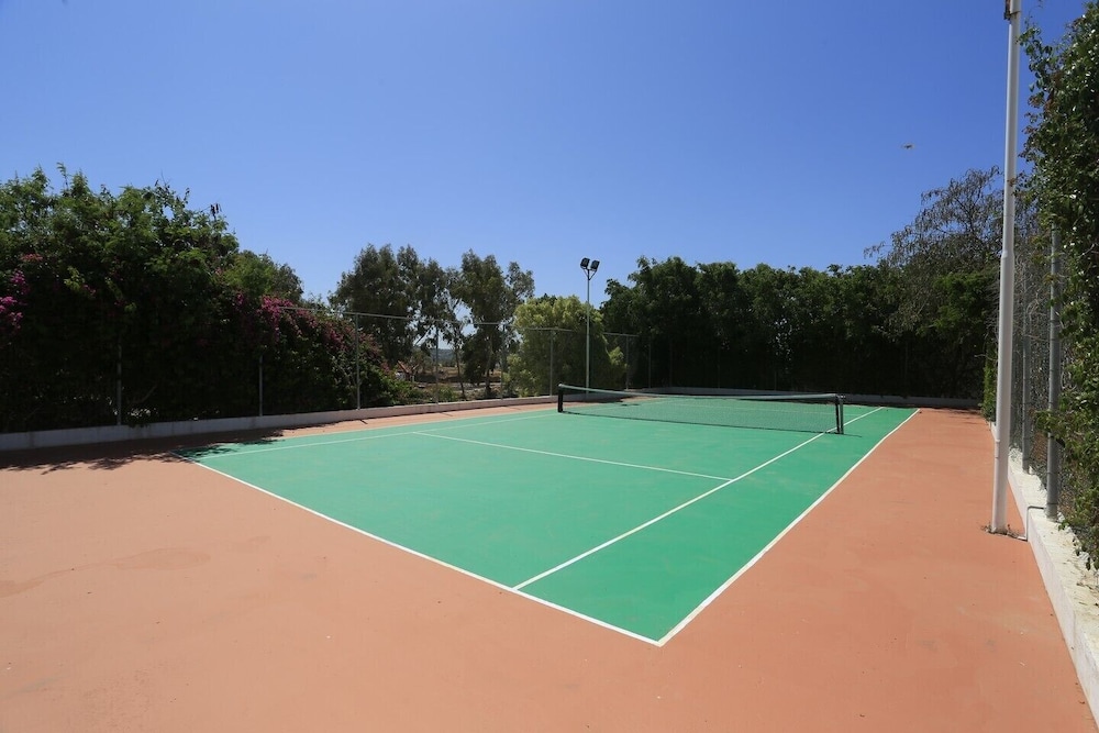 פעילויות וכושר