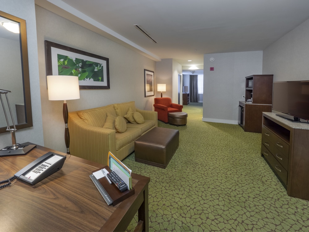 Hilton Garden Inn Buffalo Downtown - photo 11