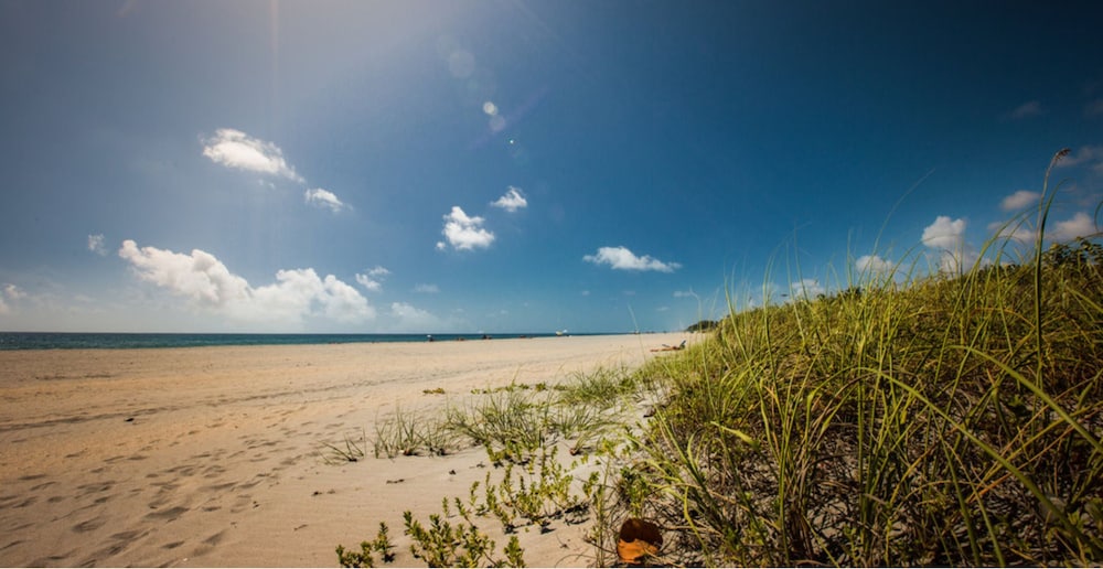 Sun Dek Beach House - photo 25