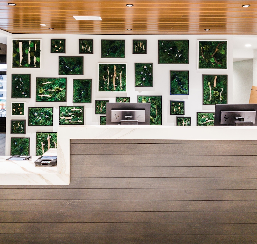 Hotel Indigo Rochester Mayo Clinic Area - photo 3