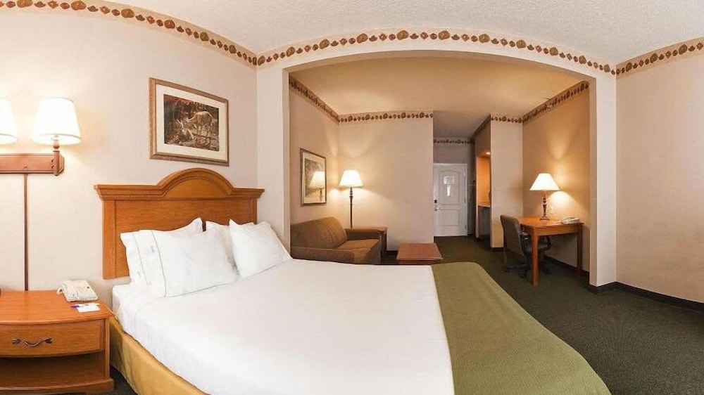 Holiday Inn Express & Suites Winner by IHG - photo 17