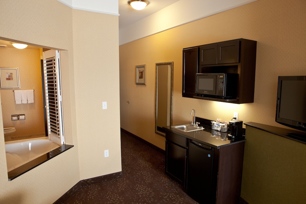 Holiday Inn Express Hotel & Suites Lansing Dimondale by IHG - photo 7