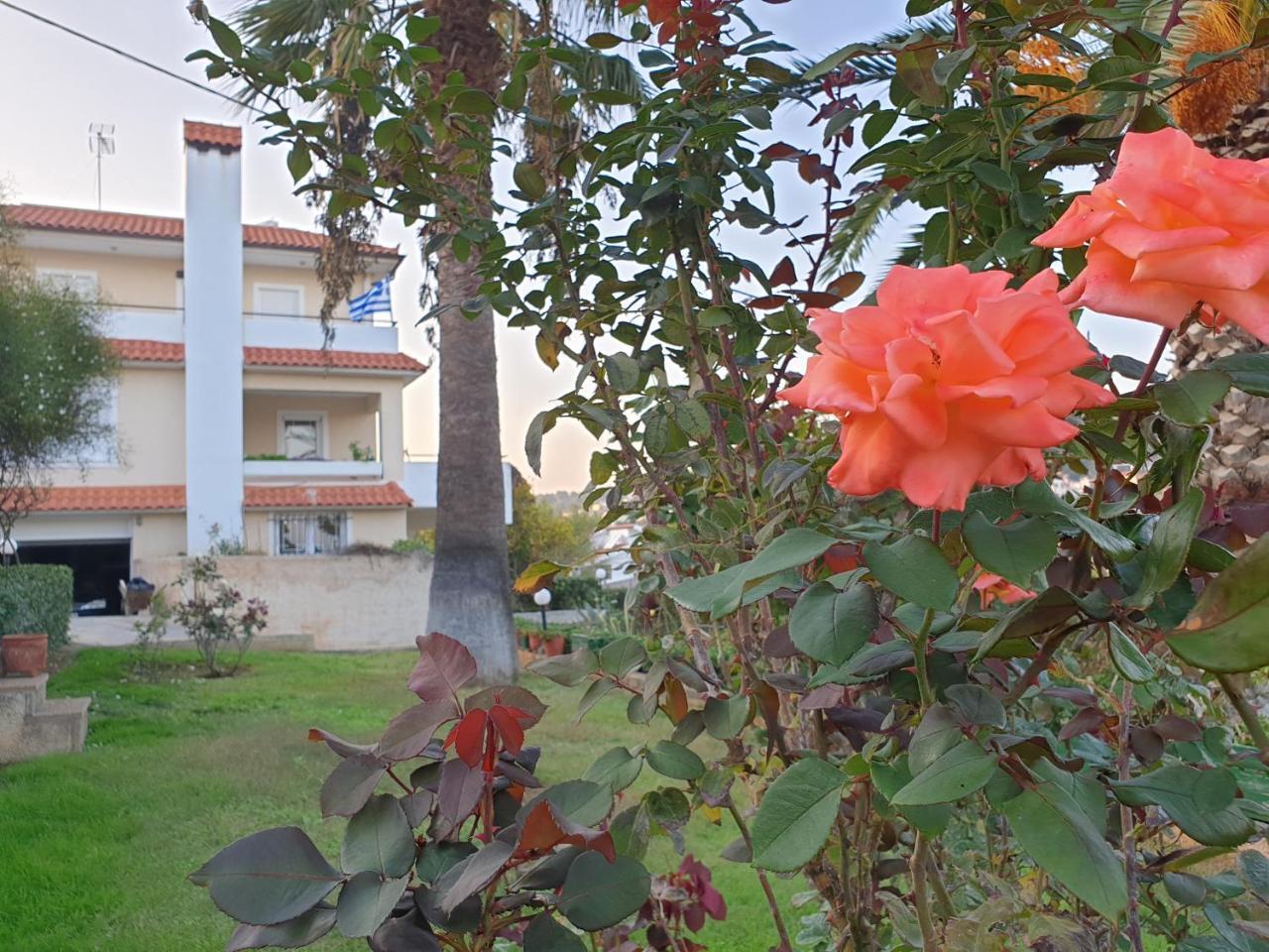 Vaso's Country House Near the Beach And Airport — 4-Star Luxury Hotel in Limin Mesoyaias, Greece