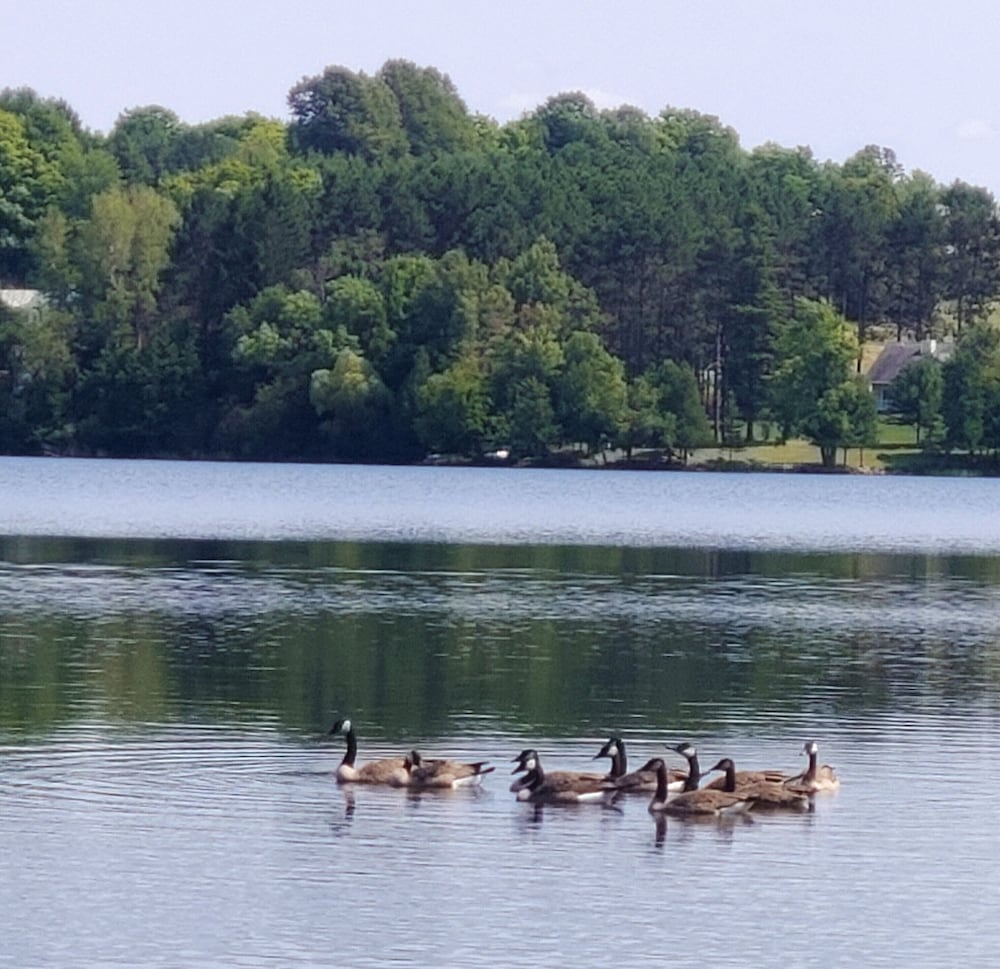 Lakeshore Motel Ice Lake - photo 40