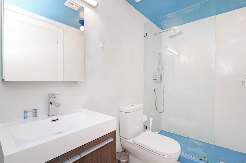 Roami at 250 Collins - photo 120