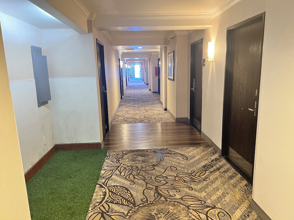 Alhambra Hotel - photo 39