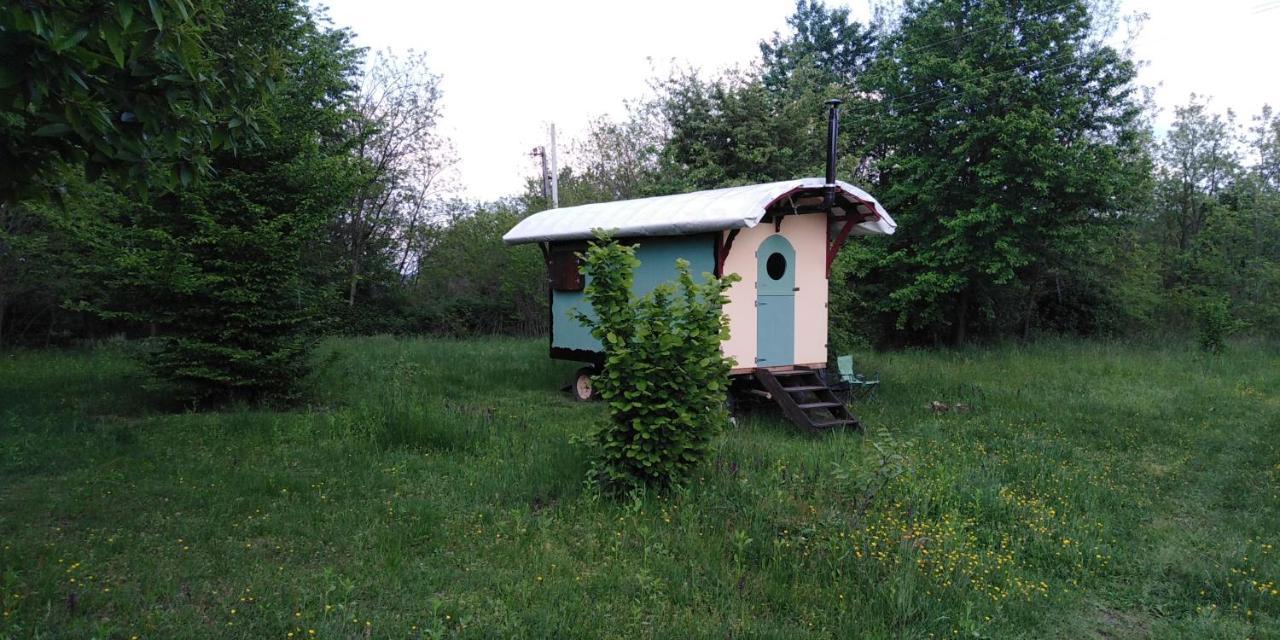 Shepherd's Hut in Nature — hotel in Vojnic