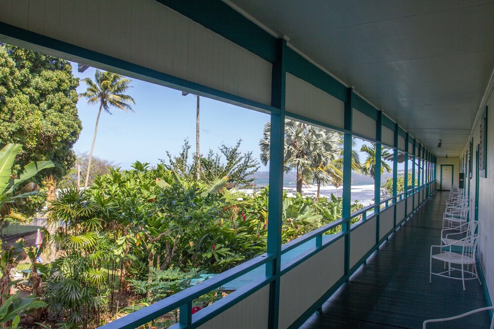 Wild Ginger Inn Hotel - photo 50