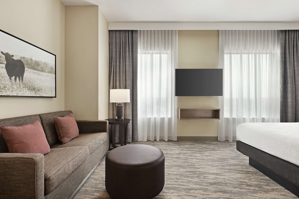 Embassy Suites by Hilton Round Rock - photo 14