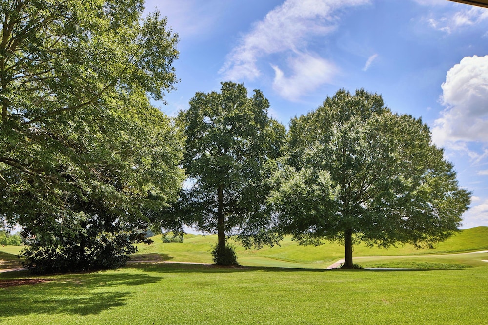Montgomery Marriott Prattville Hotel & Conference Center - photo 28