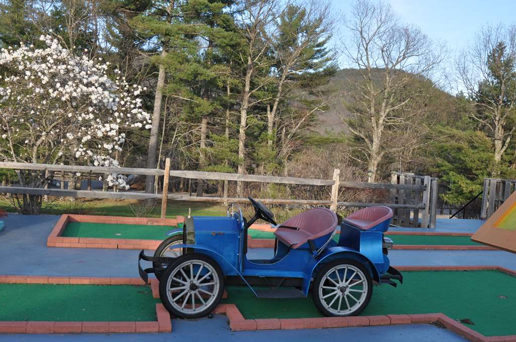 Fox Ridge Resort - photo 25