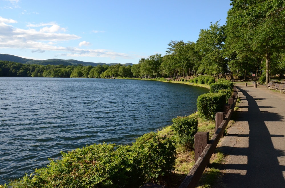 Overlook Lodge at Bear Mountain - photo 38