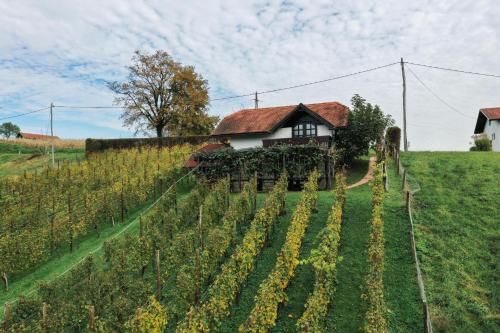Hiška Brajda in Rogaska Slatina, Slovenia