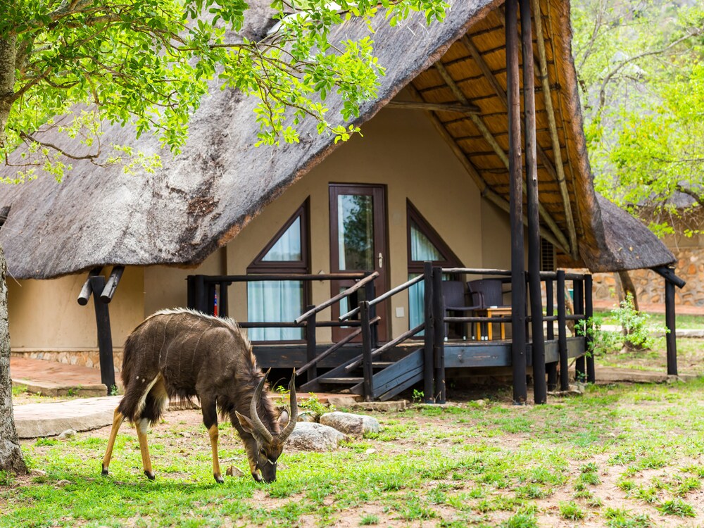 aha Bongani Mountain Lodge — 4-Star Luxury Hotel in Nelspruit, South Africa