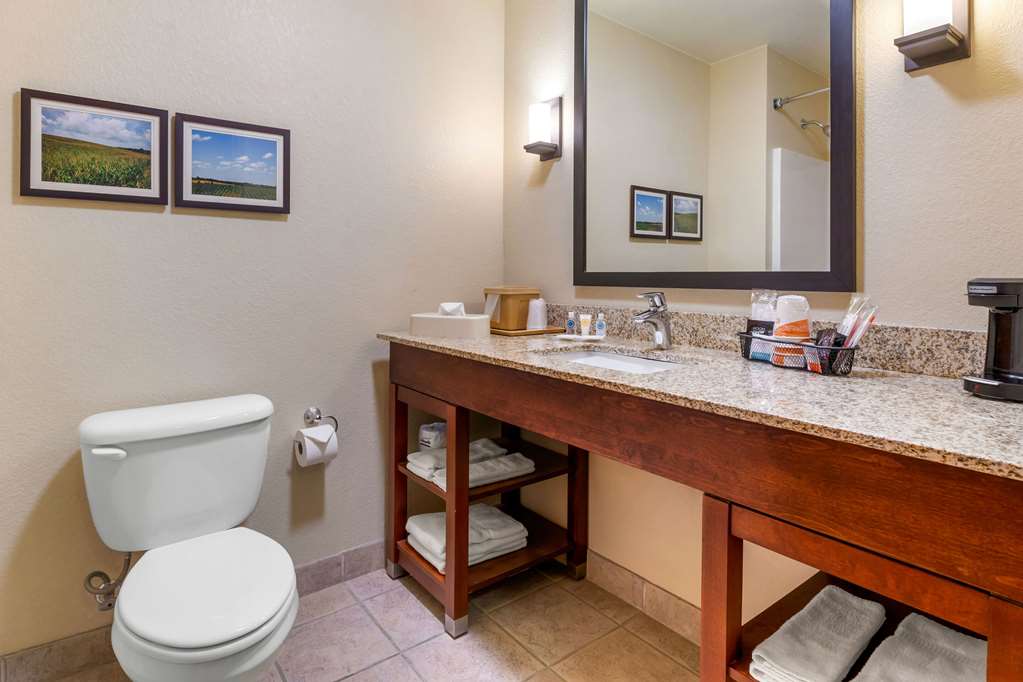 Comfort Suites Burlington - photo 30