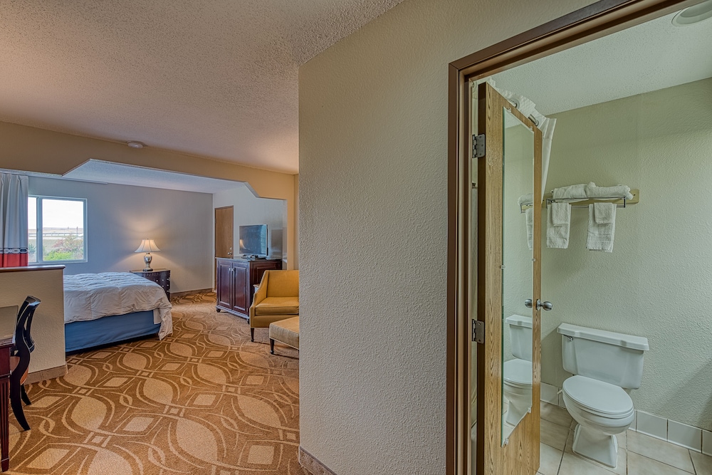 American Inn and Suites Dundee - photo 17