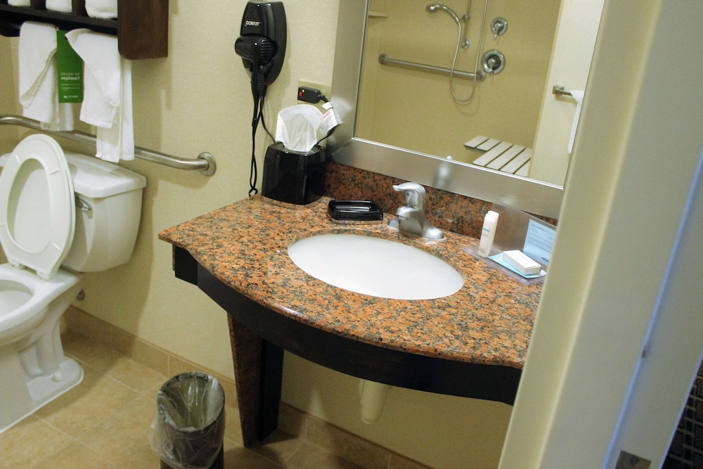 Hampton Inn & Suites New Iberia Avery Island - photo 40