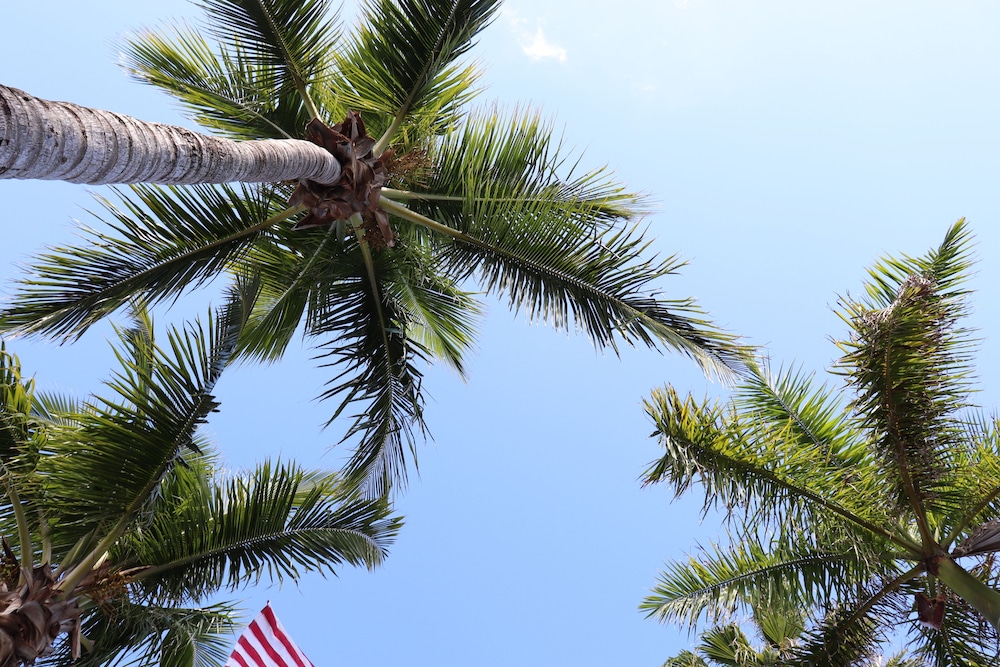Capt Hiram's Resort - photo 28