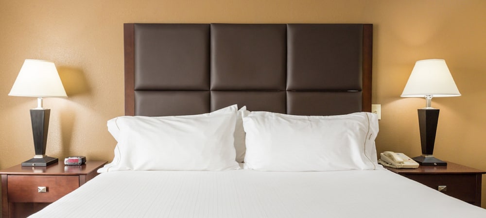Holiday Inn Express Hotel & Suites Hinesville East Fort Stewart - photo 15