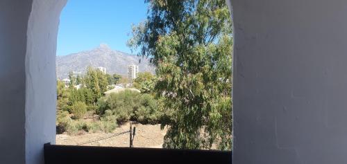 La Maestranza 28 - carbon neutral hotel in Marbella