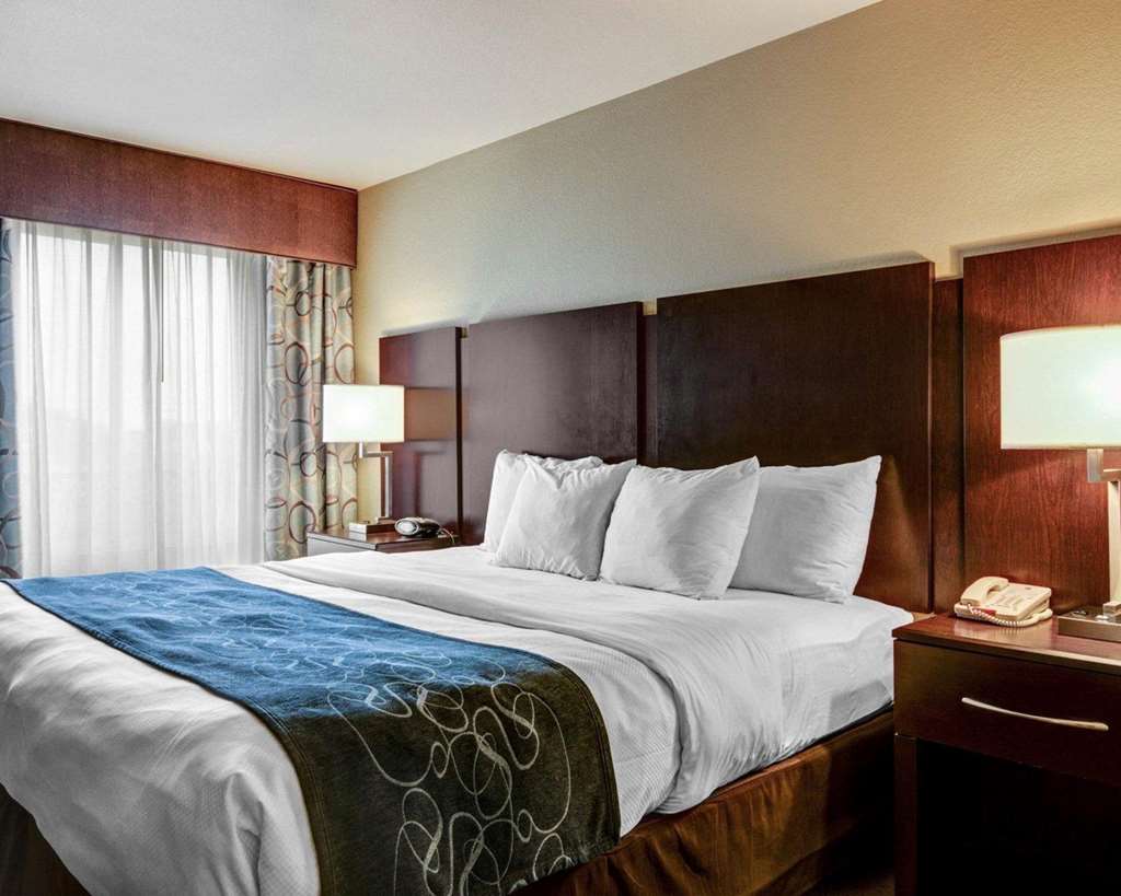 Comfort Suites near Hot Springs Park - photo 12