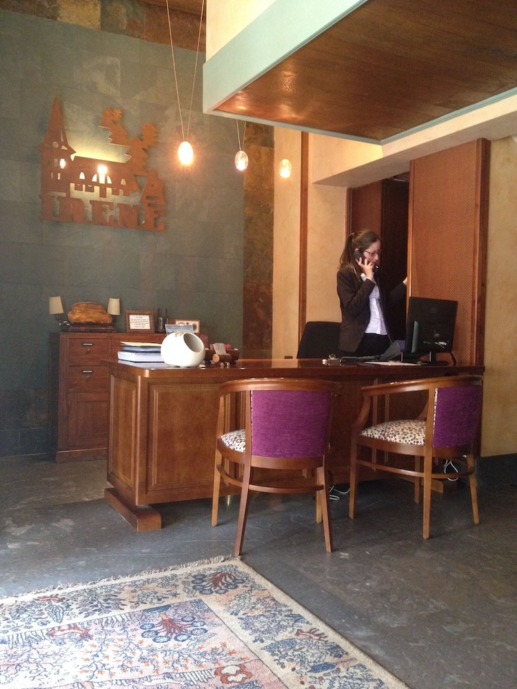 Hotel & Spa Casa Irene — Vielha — photo 2
