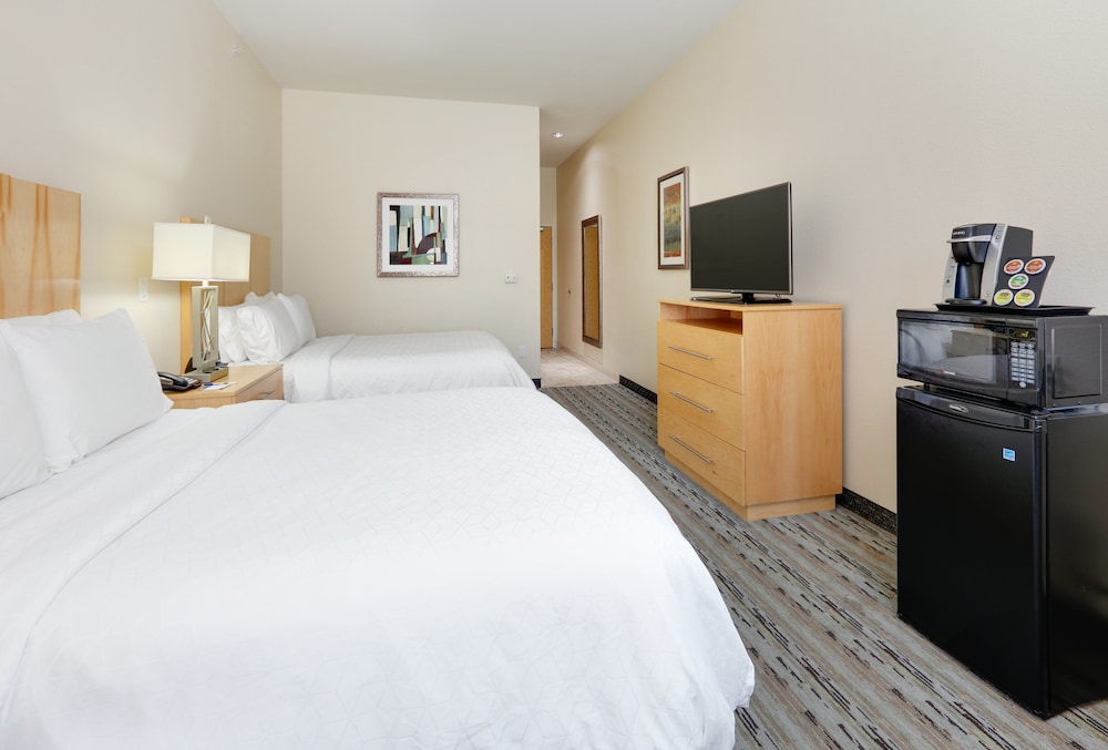 Holiday Inn Express & Suites San Antonio Brooks City Base by IHG - photo 10
