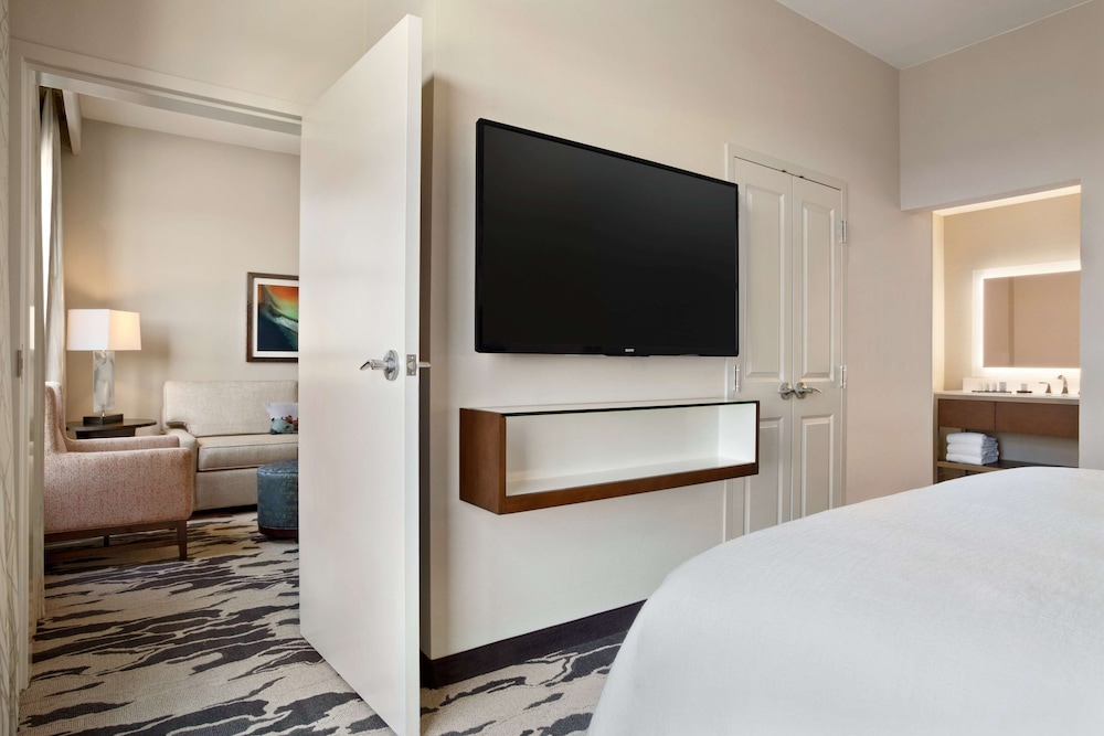 Embassy Suites by Hilton McAllen Convention Center - photo 18