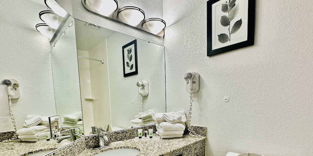 Radiant Inn & Suites - photo 8