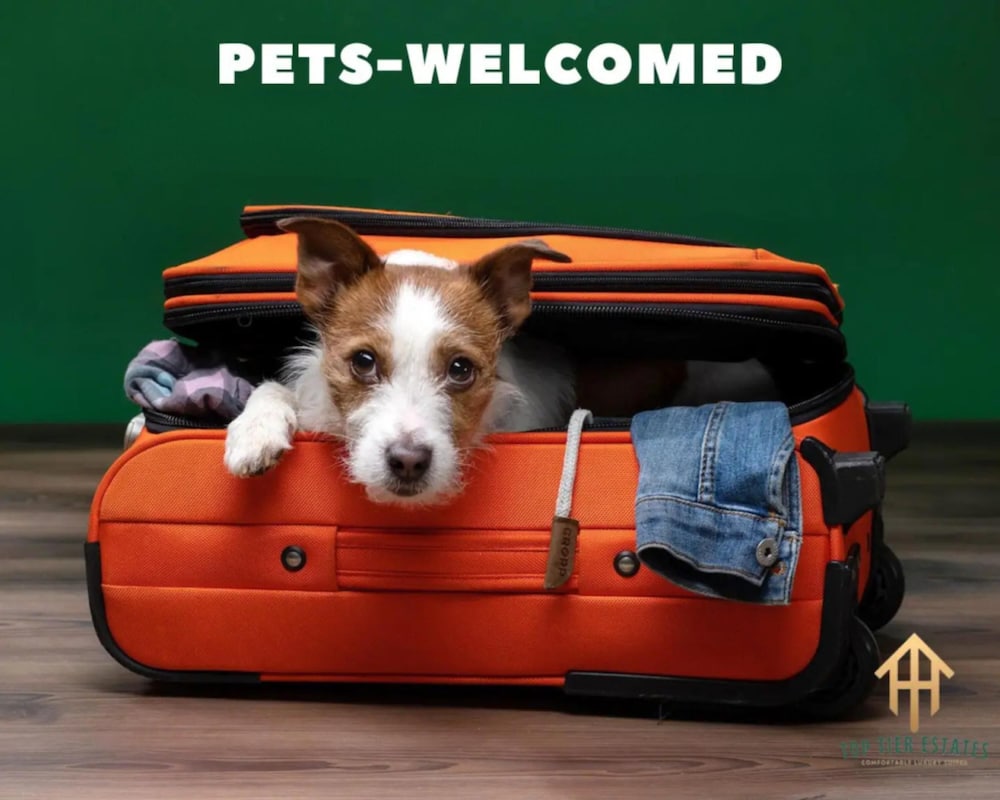 Spacious Pet Friendly 7 Miles to Eagle Mountain Lake in Fort Worth, United States